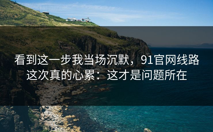 看到这一步我当场沉默，91官网线路这次真的心累：这才是问题所在