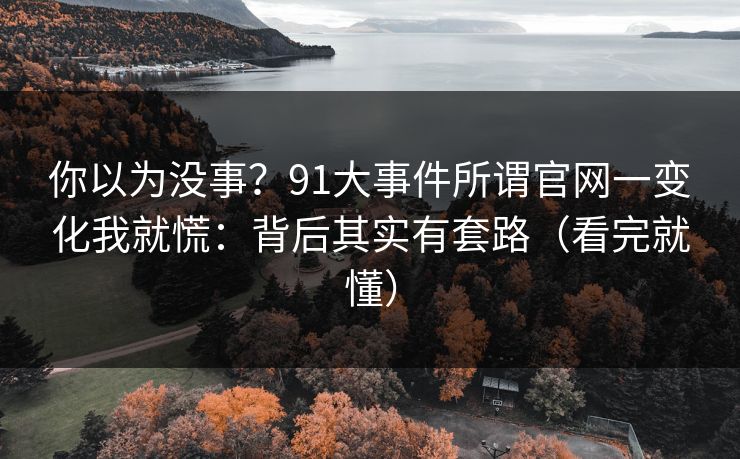 你以为没事？91大事件所谓官网一变化我就慌：背后其实有套路（看完就懂）
