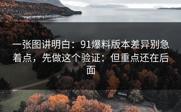 一张图讲明白：91爆料版本差异别急着点，先做这个验证：但重点还在后面