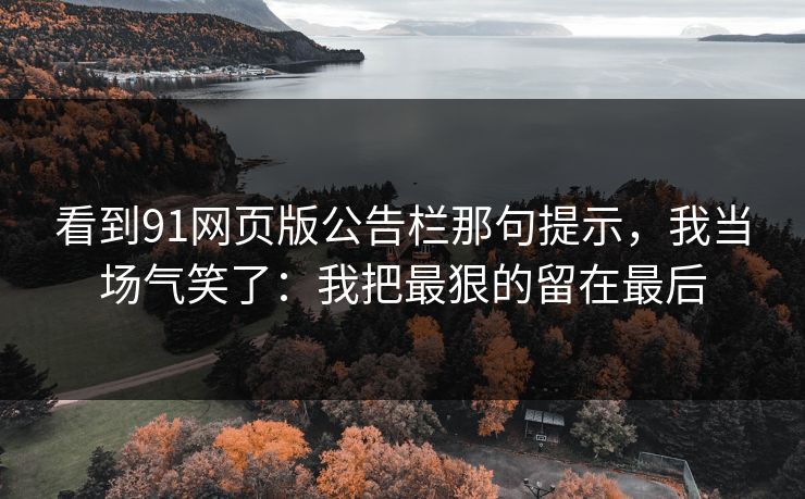 看到91网页版公告栏那句提示，我当场气笑了：我把最狠的留在最后