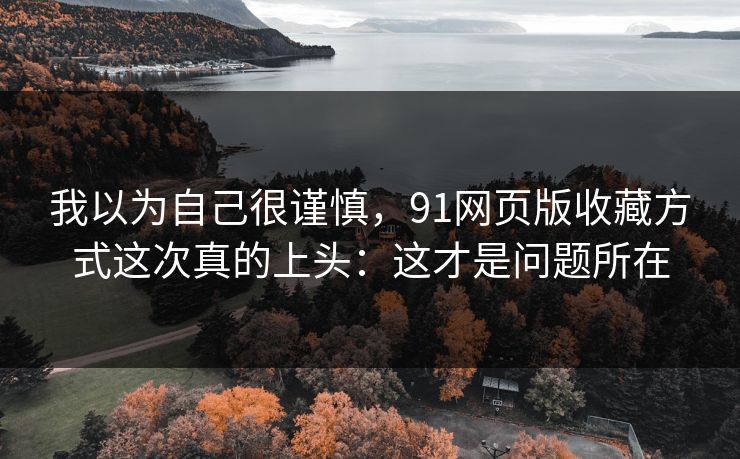 我以为自己很谨慎，91网页版收藏方式这次真的上头：这才是问题所在