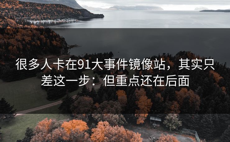 很多人卡在91大事件镜像站，其实只差这一步：但重点还在后面
