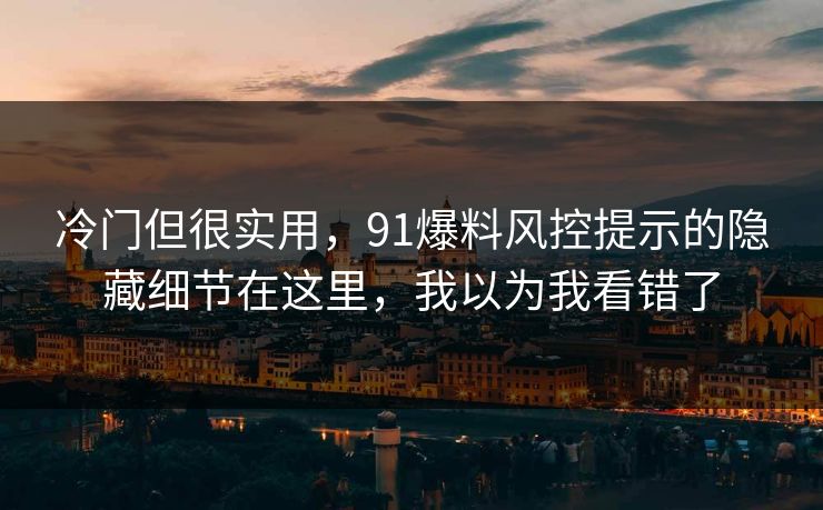 冷门但很实用，91爆料风控提示的隐藏细节在这里，我以为我看错了