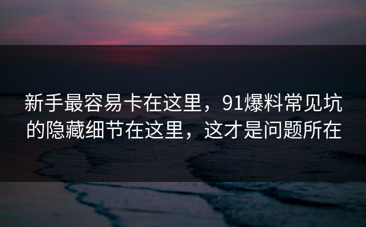 新手最容易卡在这里，91爆料常见坑的隐藏细节在这里，这才是问题所在
