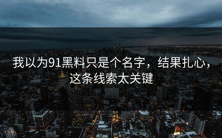 我以为91黑料只是个名字，结果扎心，这条线索太关键