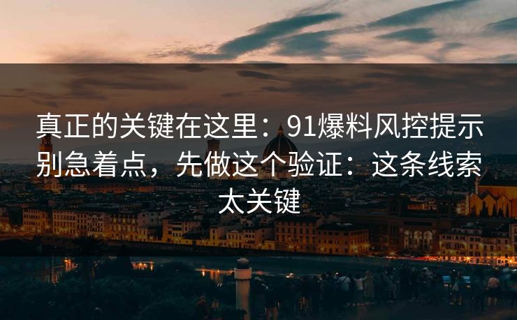 真正的关键在这里:91爆料风控提示别急着点,先做这个验证:这条线索太关键 真正的关键在这里:91爆料风控提示别急着点,先做这个验证:这条线索太关键